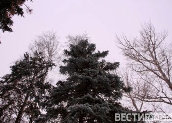 В Татарстане в Рождество ожидается до -15