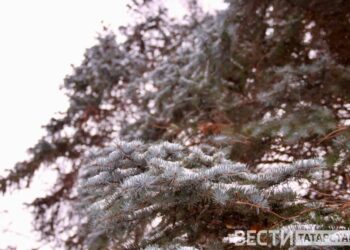 В Татарстане в Рождество ожидается до -15