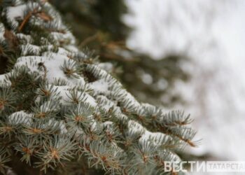 В Татарстане в Рождество ожидается до -15