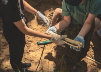 поисковики