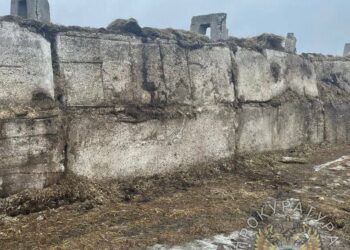 В Буинском районе сотрудник фермы упал с высоты и умер в больнице