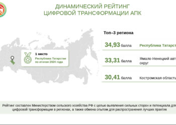 Татарстан занял первое место в рейтинге цифровой трансформации АПК в 2024 году