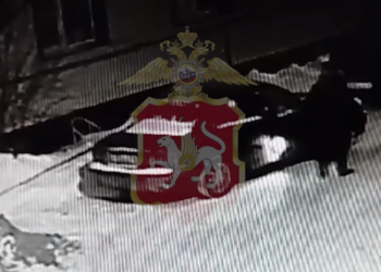 В Казани сотрудники полиции раскрыли дело об угоне иномарки