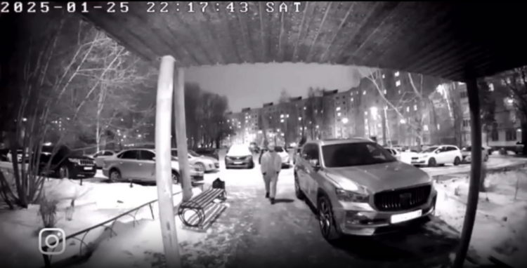 Видео: соцсети