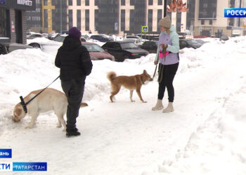 Трагическая случайность или врачебная халатность: На приеме у остеопата в Казани умер годовалый малыш