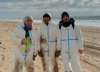 В ликвидации последствий разлива нефтепродуктов в Черном море участвуют свыше 32 тыс. волонтеров