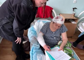 В Зеленодольском районе прокомментировали нападение собак на пенсионерку