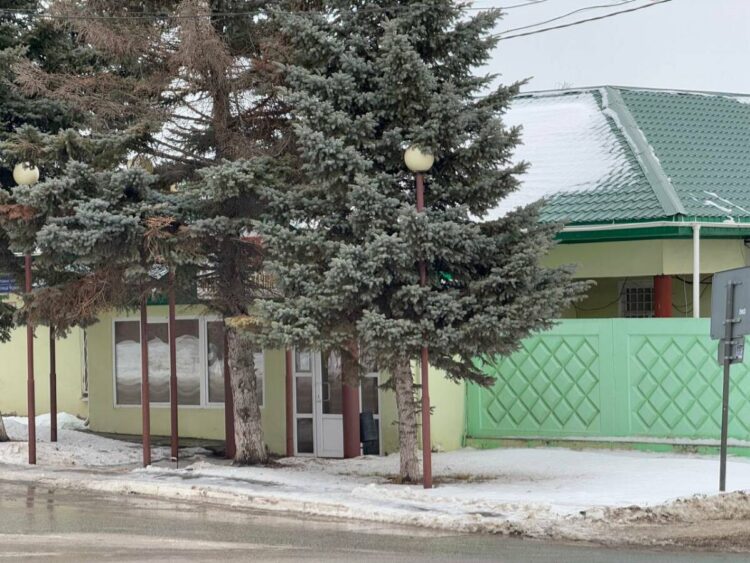 Фото: пресс-служба Менделеевского района РТ