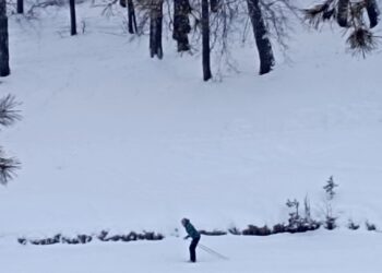 Табигать дуслары (11.01.25)