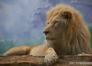 Казанский зооботсад проводит акцию ко Дню студента