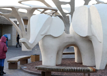 Казанские студенты смогут бесплатно посетить «Реку Замбези» 25 января