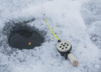 На территории заказника «Устье реки Меши» ввели запрет на рыбалку