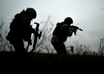 Минобороны: российские войска освободили Крымское в ДНР