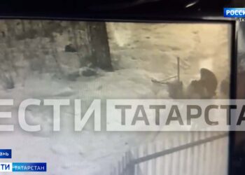 В Казани разыскивают мужчину, напавшего на 17-летнюю девушку в Кировском районе