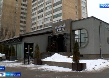 Запахи кухни и грызуны: жители Ново-Савиновского района пожаловались на ресторан в доме