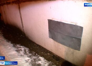 В Казани на ул.Волгоградская кошки оказались замурованы в подвале одного из домов