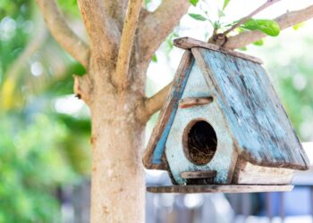 Инспекторы Минэкологии РТ рассказали школьникам о зимующих птицах по нацпроекту