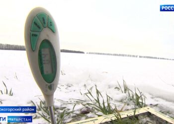 Следствие выясняет обстоятельства гибели четверых молодых людей в Казани