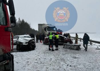 В Апастовском районе произошло смертельное ДТП