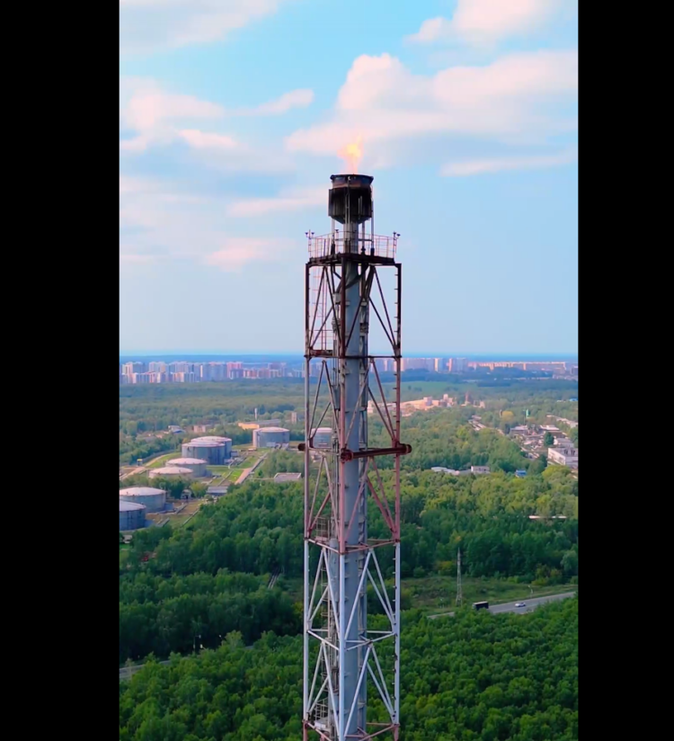 Фото: скриншот видео https://t.me/siburkos