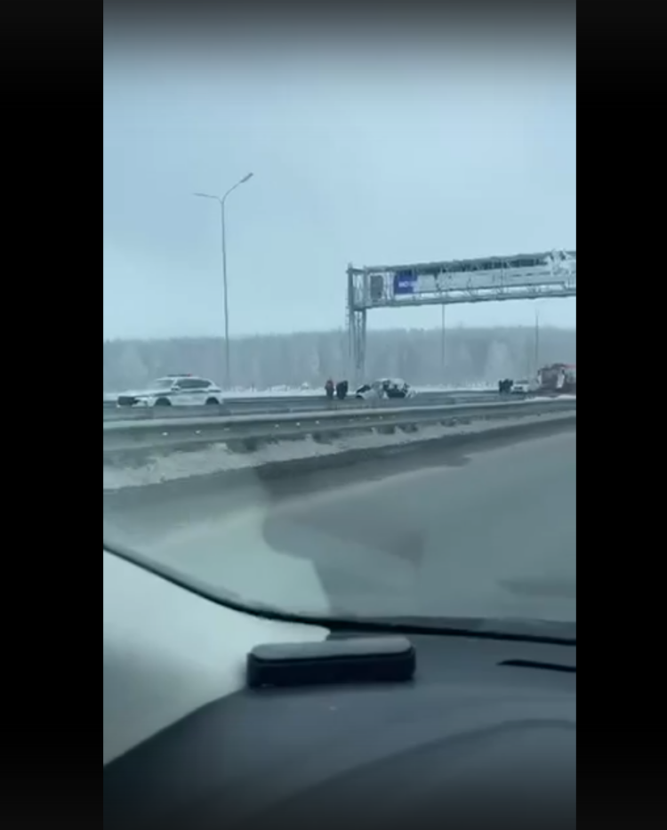 Фото: скриншот видео
Видео: соцсети