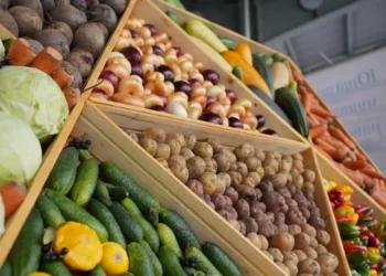 сельхозярмарка