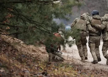 Минобороны РФ: потери ВСУ на курском направлении за сутки составили 190 боевиков