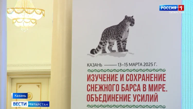 ирбис