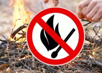 возгорание в лесу