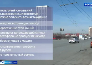 народный инспектор