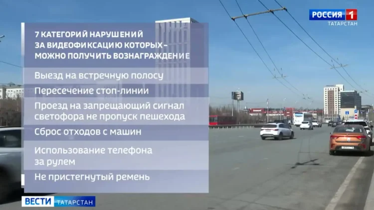 народный инспектор