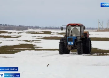 Земледельцы Бавлинского района вносят минеральные удобрения и анализируют состояние всходов