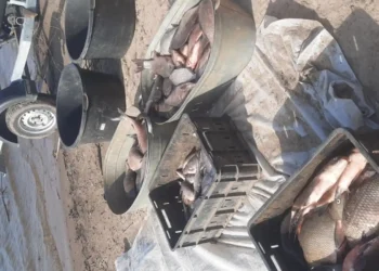 В Татарстане задержаны рыболовы с запрещенными орудиями лова