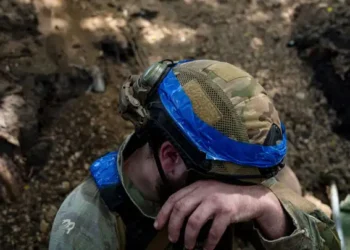 сво