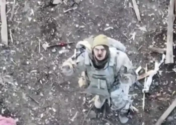сво