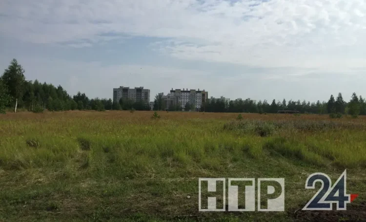 парк