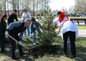 сажают деревья