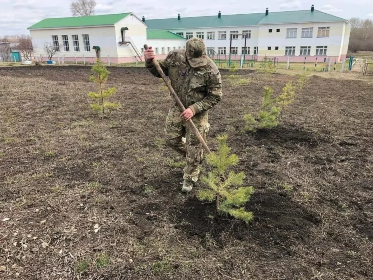 участник СВО сажает дерево