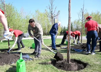 Ильсур Метшин сажает дерево