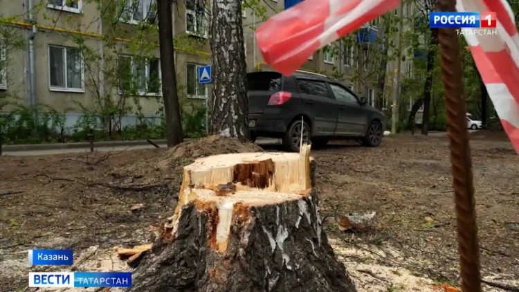пень