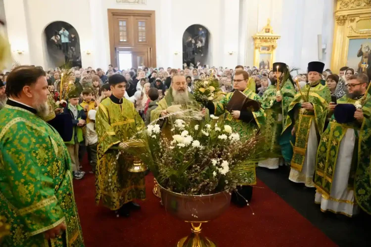 служба
