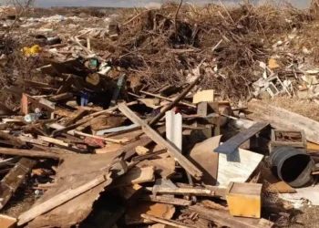 свалка в Чистополе