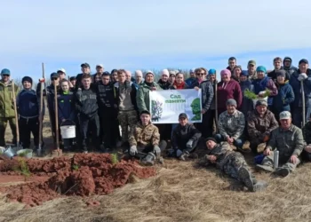 посадили деревья