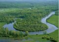 Музыкаль мизгелләр (14.04.25)