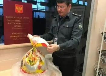 В казанском аэропорту у пассажиров, прибывших из Душанбе, изъяли 6 кг фруктов