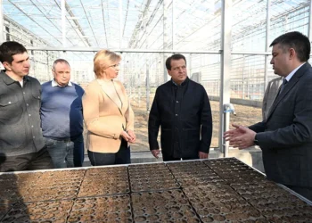 Ильсур Метшин на совещании