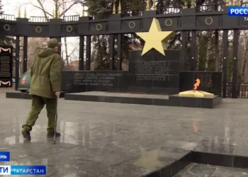 сво