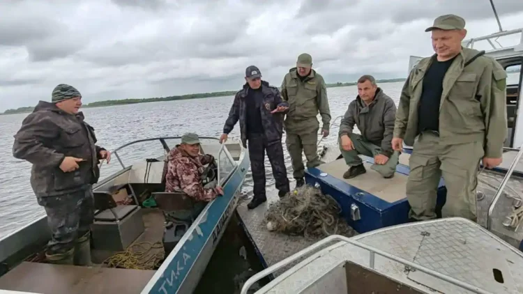 рыбаки