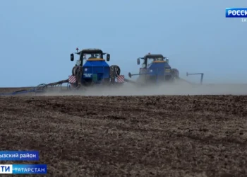 В Татарстане план по севу яровых культур выполнен на 74%