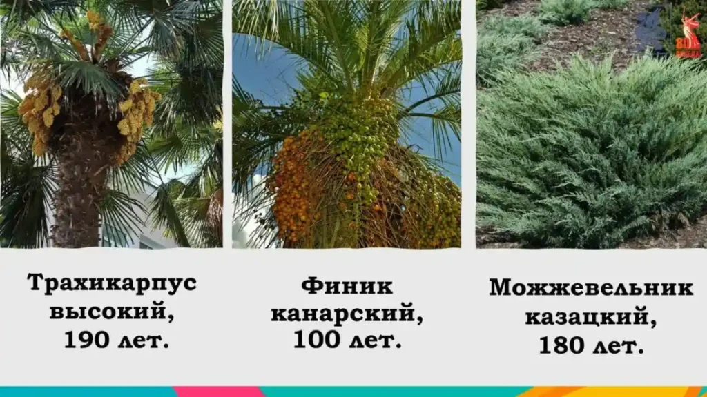 скрин